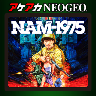ネオジオ NEOGEO NAM-1975 SNK NEO