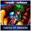 CASTLE OF DRAGON